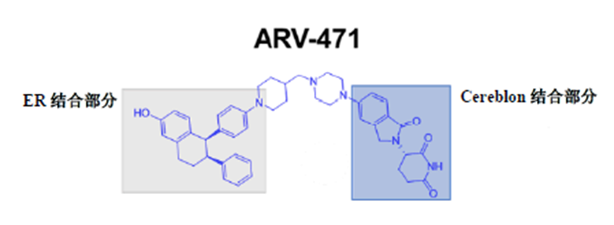 蛋白降解新药，中国进3期临床