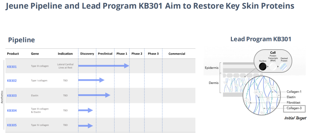 拯救“蝴蝶宝贝”！全球首款基因疗法来自一对“医药夫妻”